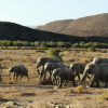 Отель Sanbona, фото 26