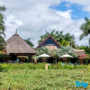 Отель Club Med Villas dAlbion, фото 10