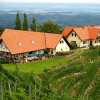 Отель Weingut Albert, Familie Cramer, фото 15