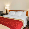 Отель Comfort Inn Avon-Indianapolis West, фото 7