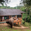 Отель Chiang Mai Elephant Friends, фото 24