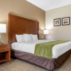 Отель Comfort Inn Asheville Airport, фото 4
