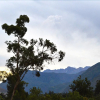 Отель Urubamba Homestay, фото 8