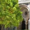 Отель That Little Place in Batalha, фото 24