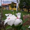 Отель Pousada Mirante de Minas, фото 11