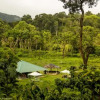 Отель Camping In Remote Coorg, фото 8
