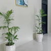 Отель RedDoorz Syariah near Stasiun Madiun 2, фото 12