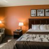 Отель Sleep Inn & Suites Highway 290/NW Freeway, фото 3