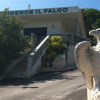 Отель Villaggio Turistico Il Falco, фото 1