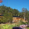 Отель Lahuen Co Eco Lodge and Spa Termal, фото 6