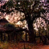 Отель Pugdundee Safaris- Tree House Hideaway, фото 26