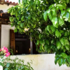 Отель Magicstay - Aparthotel 3 Stars Koukounaries, фото 18