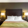 Отель Comfort Inn & Suites, фото 7