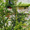 Отель Torre Rodosta, фото 19