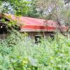 Отель Tshima Bush Camp, фото 3