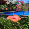 Отель Pattri Garden Lembongan, фото 13