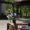 Отель Xinyang Pingqiao Smile Inn, фото 4