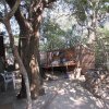 Отель 3 bed Bush-tent Under 3 Trees, for Couple Plus Chaperone Free Lionhyena Sounds, фото 17