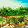 Отель Ecologic Ville Resort, фото 15
