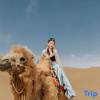 Отель Dunhuang Dreammaker Windy Desert Wild Luxury Star Watching Camp, фото 7