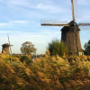 Отель Watertoren, фото 20