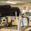 Отель Comfort Inn & Suites Diamondale – Lansing, фото 32