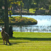 Отель Kangaroo Valley Golf and Country Resort, фото 11