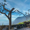 Отель Casa Rural De Piedra, фото 10