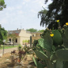 Отель Home for Creativity-Coliving Puglia, фото 1
