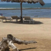 Отель Stay.Plus Nyumba Tulivu Watamu, фото 26