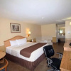 Отель Executive Inn, фото 6
