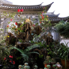 Отель Dali Lily Pad Inn & International Guest House, фото 11