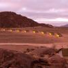 Отель Desert Quiver Camp, фото 25