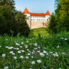 Отель Mokrice Castle Estate, фото 27