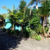 Отель The Nikau Loft, фото 1