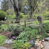 Отель The Ashe Farm Bed & Breakfast, фото 29