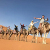 Отель Merzouga Experience Luxury Camp, фото 13