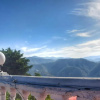Отель Himalayan Retreat Neelkanth by OYO Rooms, фото 1