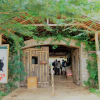 Отель Manyatta Camp, фото 12