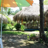 Отель Las Palmeras, фото 22