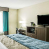 Отель Comfort Inn Dunn near I-95, фото 28
