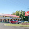 Отель Econo Lodge Cadillac, фото 1