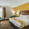 Отель Quality Inn, фото 23