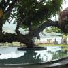 Отель Ketapang Resort, фото 15