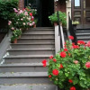 Отель Beacon Hill Bed and Breakfast, фото 8