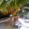 Отель Sealine Beach Resort, фото 16