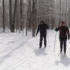 Отель Vantage Point Villas at Stratton Mountain Resort, фото 11