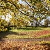 Отель Gardener's Cottage, фото 12