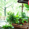 Отель Lijiangyuan Guesthouse, фото 15