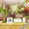 Отель Xi'an Yashu Business Hotel Yongsong Road Store, фото 12